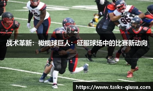 球速体育官网